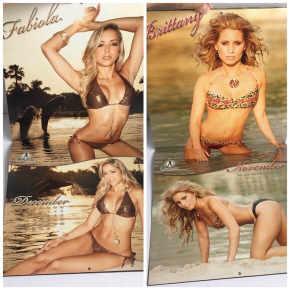 NEW Miami Dolphins Cheerleaders Discovery Cove 2008 2009 Sixteen Month Calendar - Picture 16 of 16